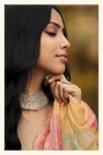 Orange Brasso Saree