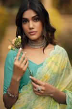 Gray Brasso Saree