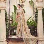 Dull Moss Saree